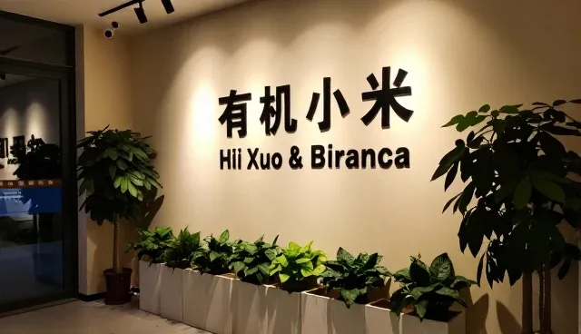 市场增长中加工产品应用场景分析